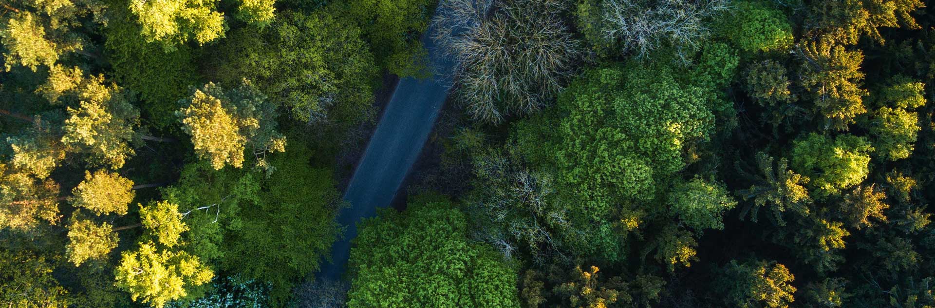 Stake(�й���)�ٷ���վ