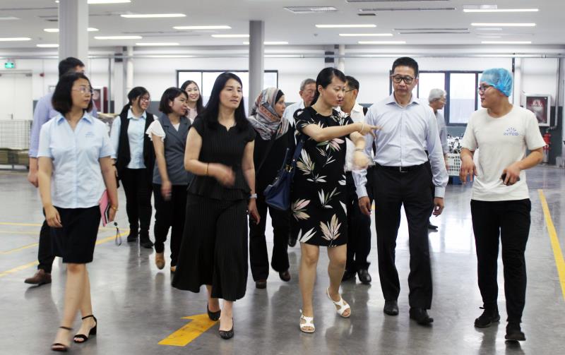 Stake(�й���)�ٷ���վ