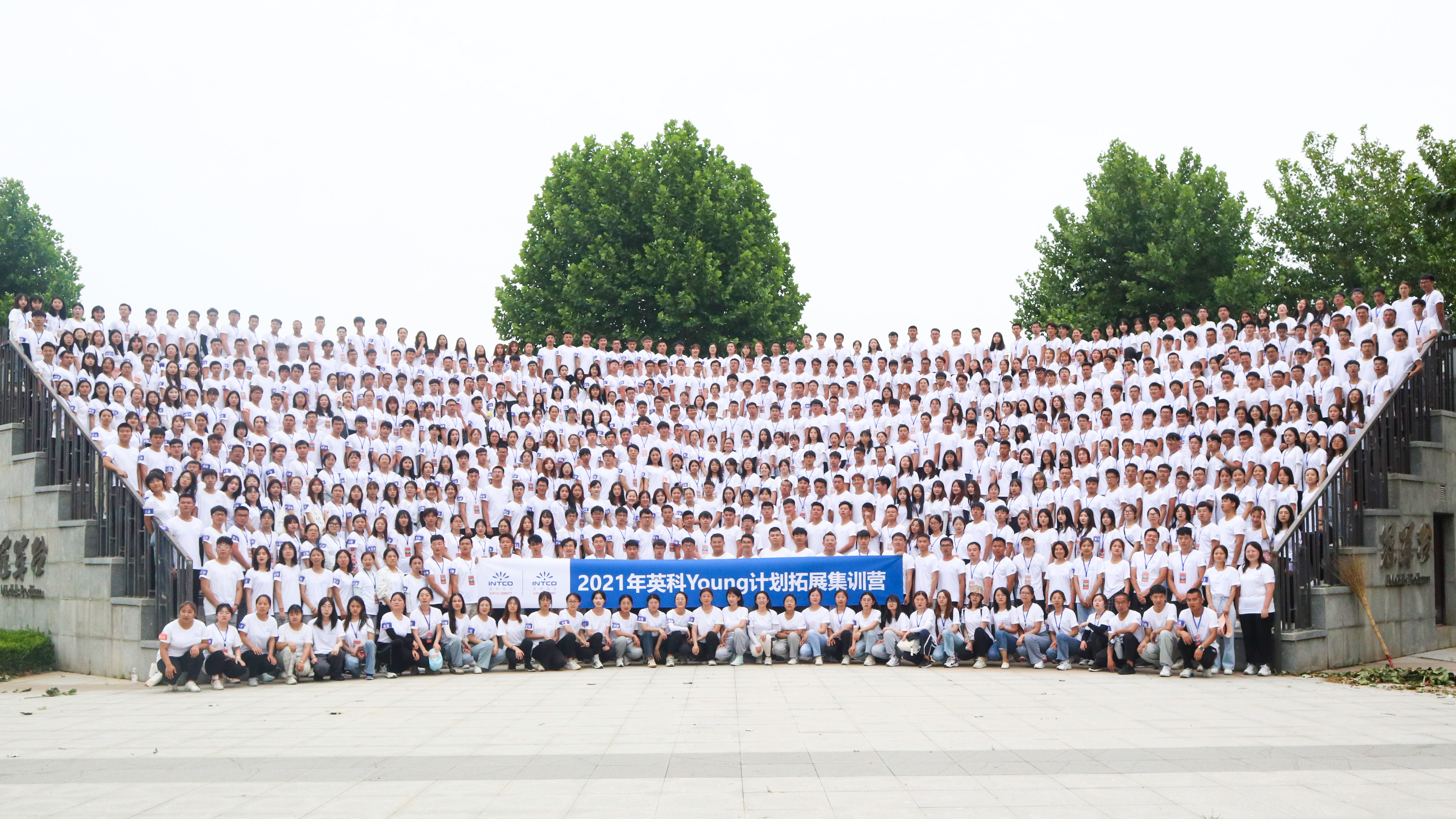 Stake(�й���)�ٷ���վ