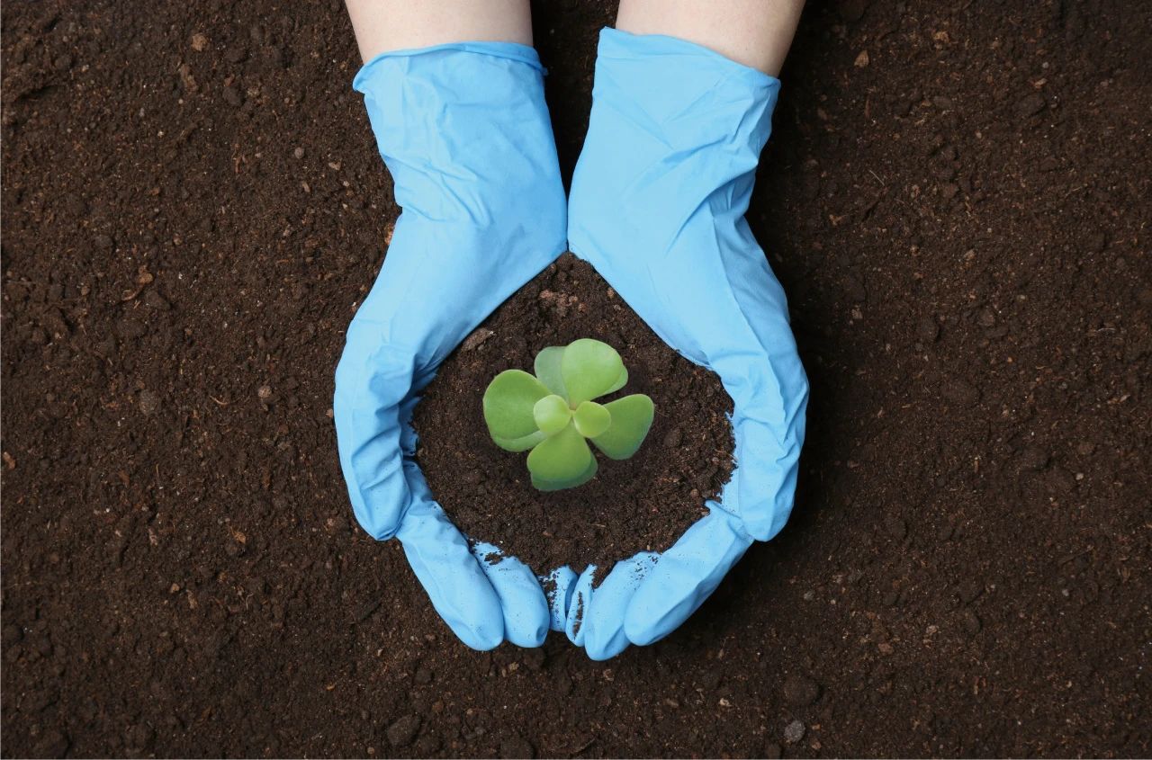 Stake(�й���)�ٷ���վ