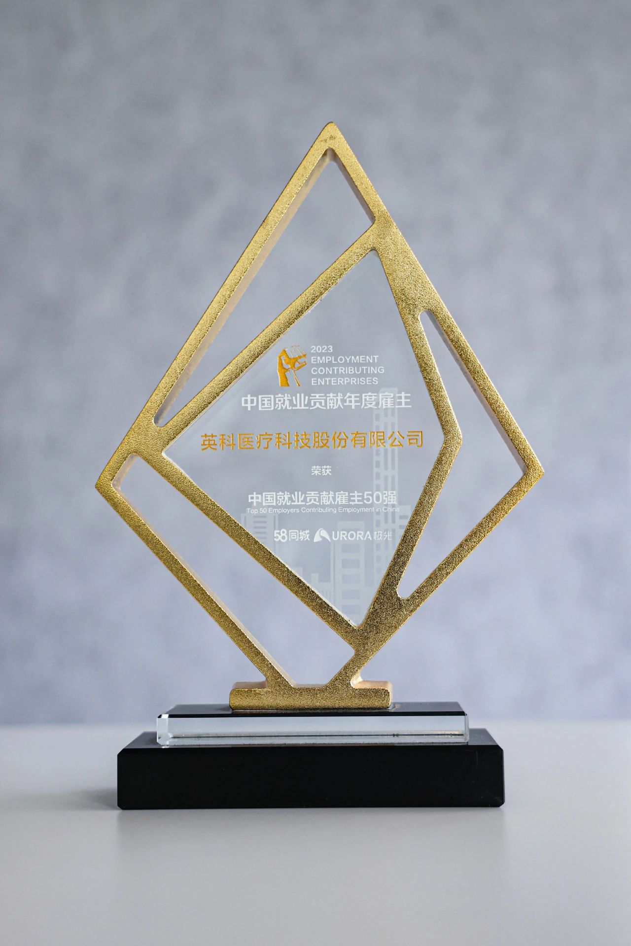 Stake(�й���)�ٷ���վ