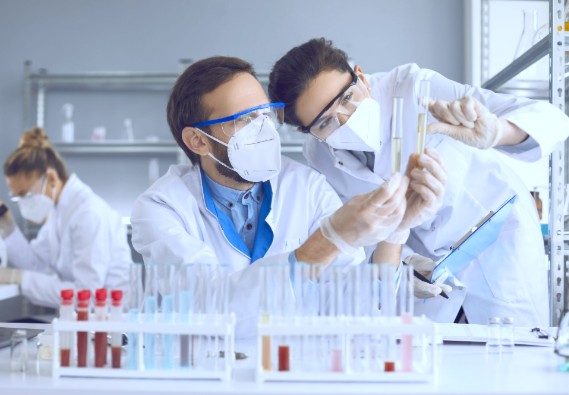 Stake(�й���)�ٷ���վ