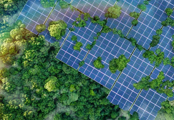 Stake(�й���)�ٷ���վ