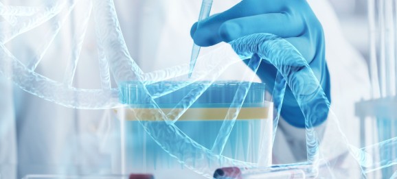 Stake(�й���)�ٷ���վ