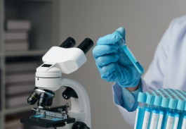 Stake(�й���)�ٷ���վ