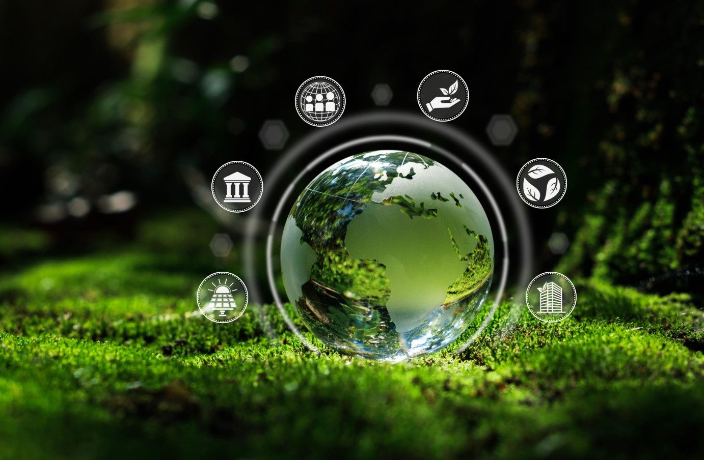 Stake(�й���)�ٷ���վ